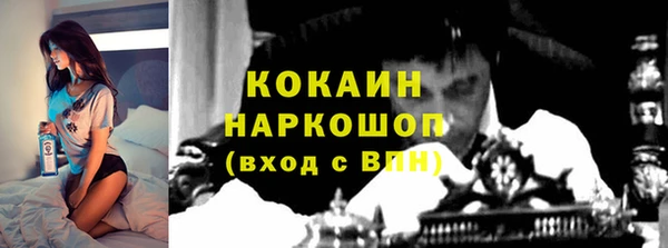 твердый Алексин