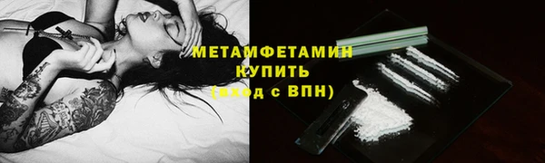 прущие грибы Абдулино