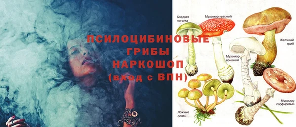 прущие грибы Абдулино