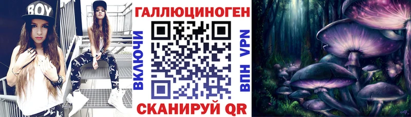 купить наркотик  Карасук  OMG как зайти  Псилоцибиновые грибы Psilocybe 